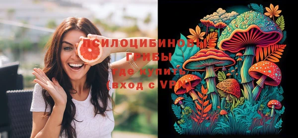 PSILOCYBIN Балахна