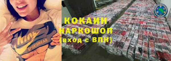 эйфоретик Арсеньев