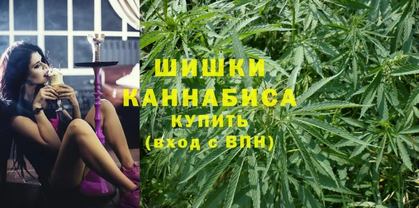 PSILOCYBIN Балахна