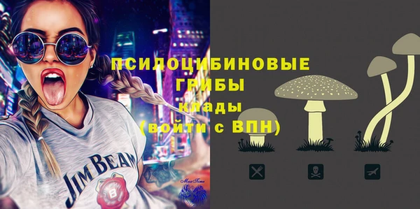 эйфоретик Арсеньев