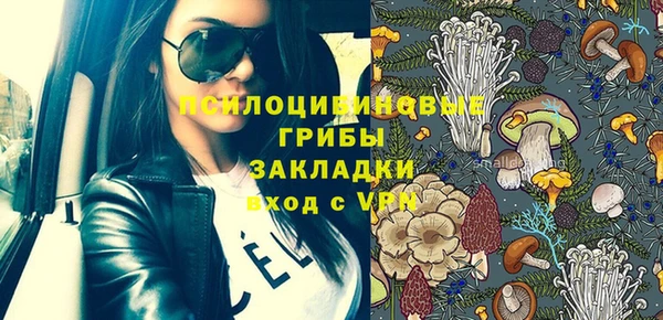 шишки Балабаново