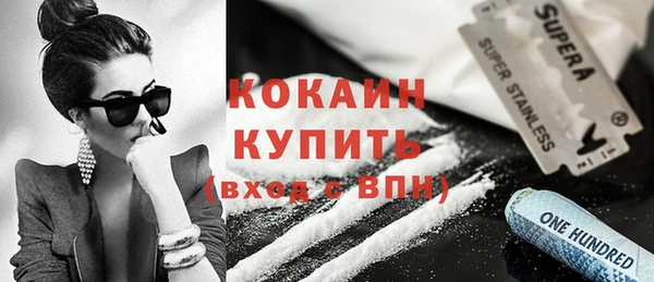 гашик Бородино